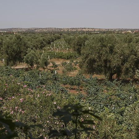 Ryad De Vignes " Le Val D'Argan " Ounara Bagian luar foto