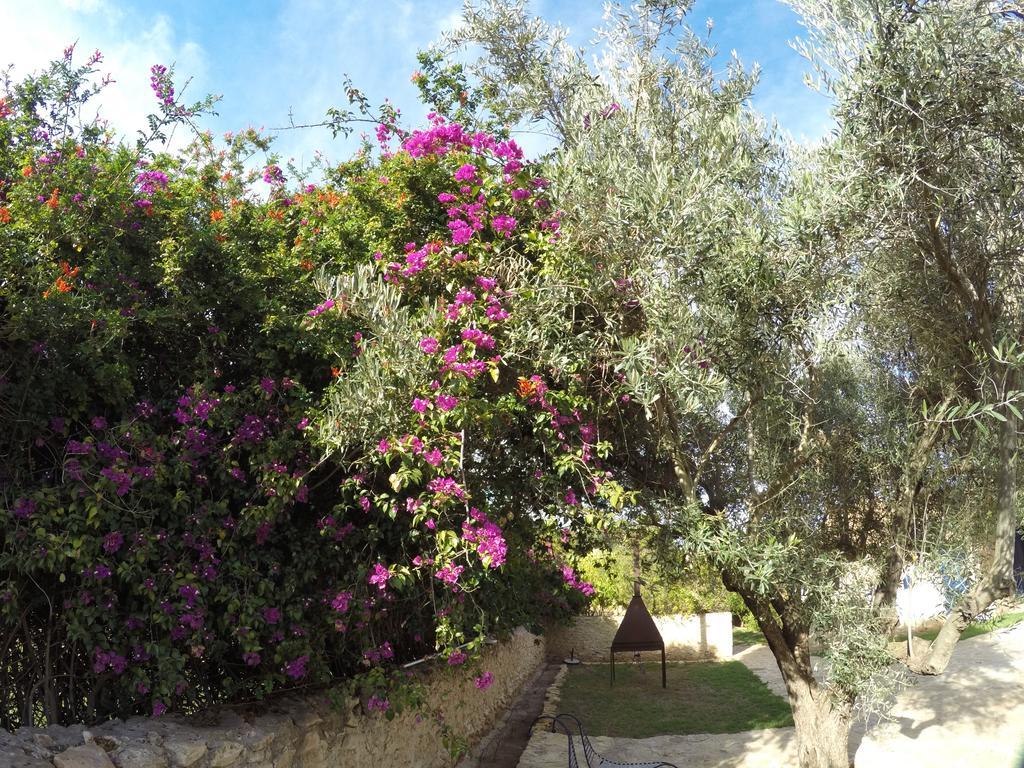 Ryad De Vignes " Le Val D'Argan " Ounara Bagian luar foto
