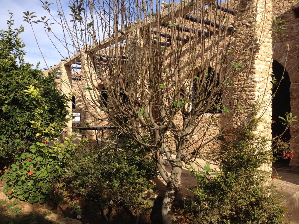 Ryad De Vignes " Le Val D'Argan " Ounara Bagian luar foto