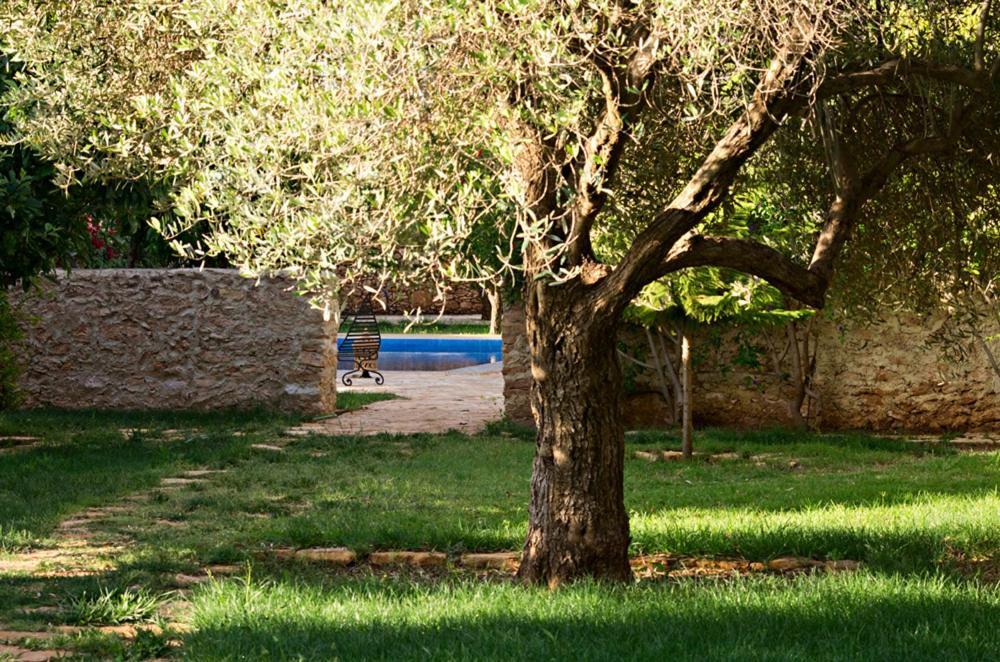 Ryad De Vignes " Le Val D'Argan " Ounara Bagian luar foto