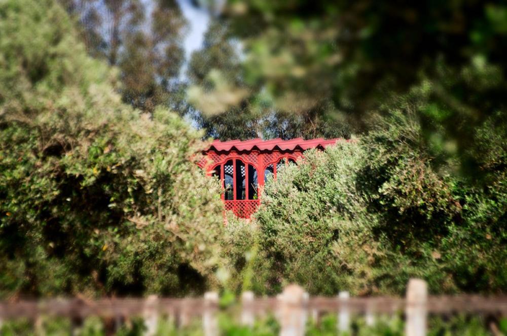 Ryad De Vignes " Le Val D'Argan " Ounara Bagian luar foto